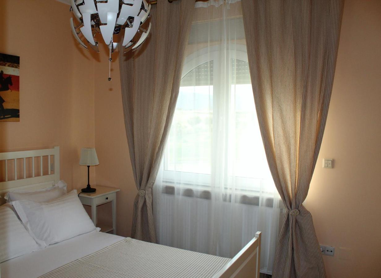 Villa Dimitri - Penthouse Seaview 亚历山德鲁波利斯 外观 照片